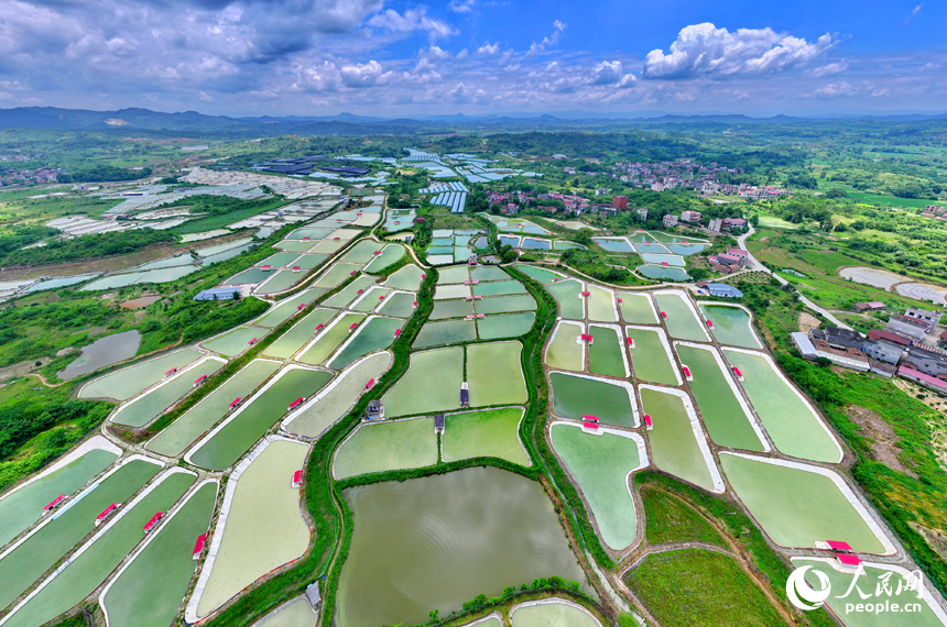 撫州市南豐縣萊溪鄉農光互補生態養殖基地，色彩斑斕的甲魚塘如同大地調色盤。人民網 朱海鵬攝