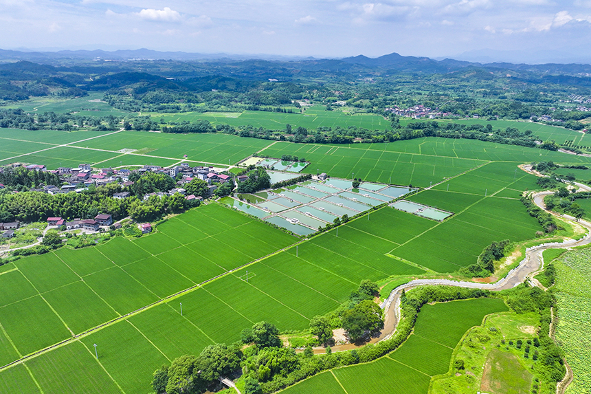 江西省撫州市南豐縣萊溪鄉黃滿村，翠綠的稻田與道路、山巒、民居相映成景。謝東攝