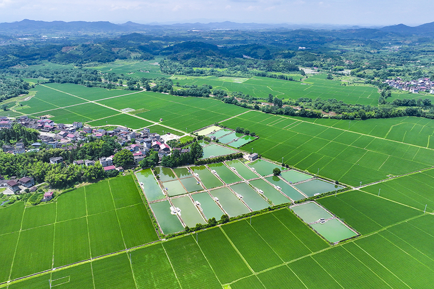 江西省撫州市南豐縣萊溪鄉黃滿村，翠綠的稻田與道路、山巒、民居相映成景。謝東攝