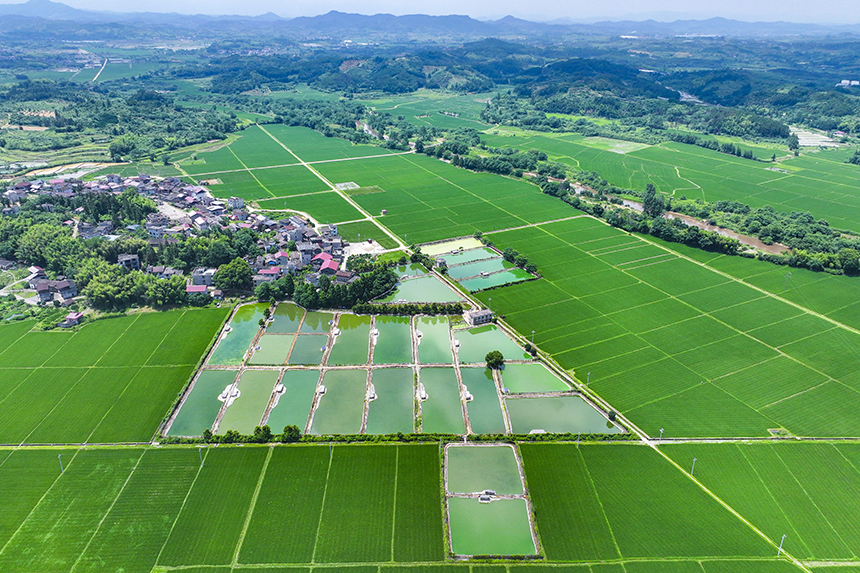 江西省撫州市南豐縣萊溪鄉黃滿村，翠綠的稻田與道路、山巒、民居相映成景。謝東攝