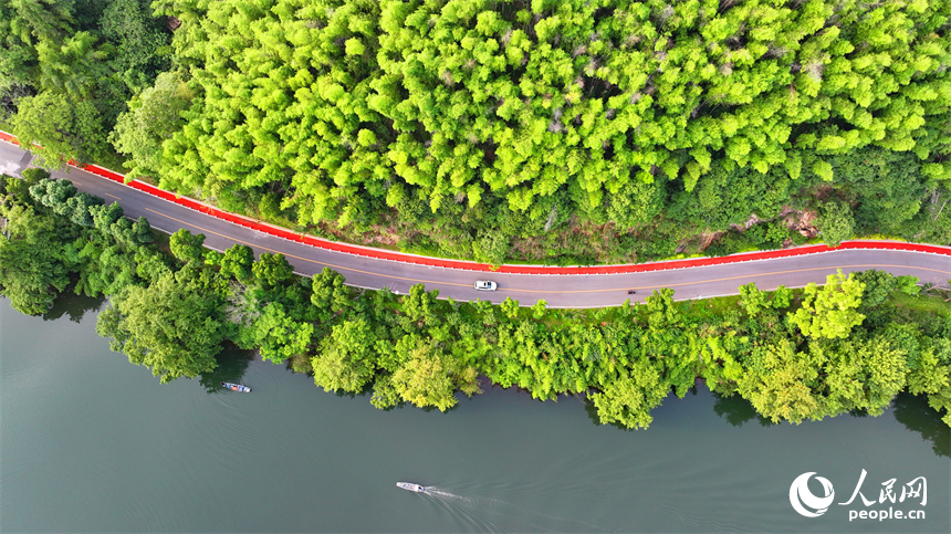赣州市上犹县陡水镇，车辆在农村公路上行驶，沿线水清景美绿意浓。人民网 朱海鹏摄