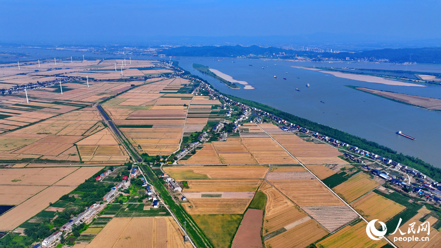 九江市柴桑区江洲镇风光旖旎，风力发电机迎风运转，源源不断地输出清洁电能。人民网 朱海鹏摄
