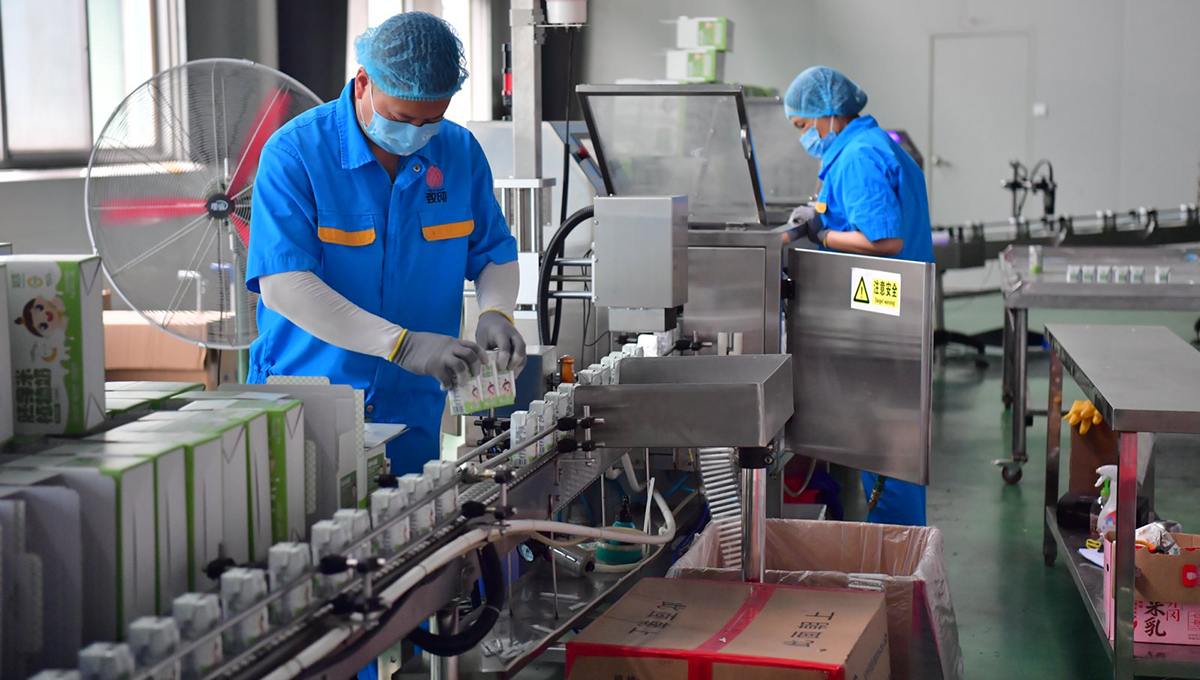 广昌县致纯食品股份有限公司生产车间内，工人们正在对产品进行包装。