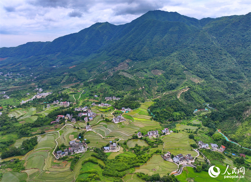 贛州市崇義縣鉛廠鎮穩下村，蓄水翻耕插秧后的梯田與山林、房舍相映成景，呈現出一幅綠意盎然的生態鄉村畫卷。人民網 朱海鵬攝