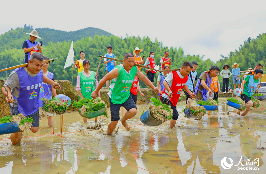 崇义县上堡乡上堡梯田，村民在参与乡村趣味运动会梯田挑秧比赛。人民网 朱海鹏摄