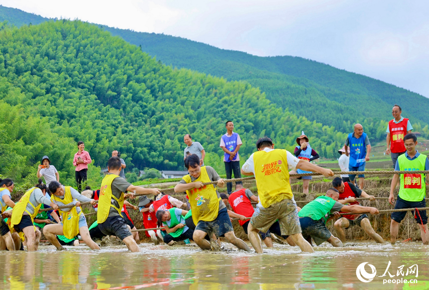 崇义县上堡乡上堡梯田，村民在参与乡村趣味运动会水田拔河比赛。人民网 朱海鹏摄