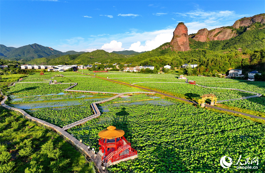 赣州市石城县琴江镇大畲村，错落分布的农房与莲田、山峦、旅游公路相映成景，构成一幅绿意盎然、和美宜居的山乡画卷。人民网 朱海鹏摄