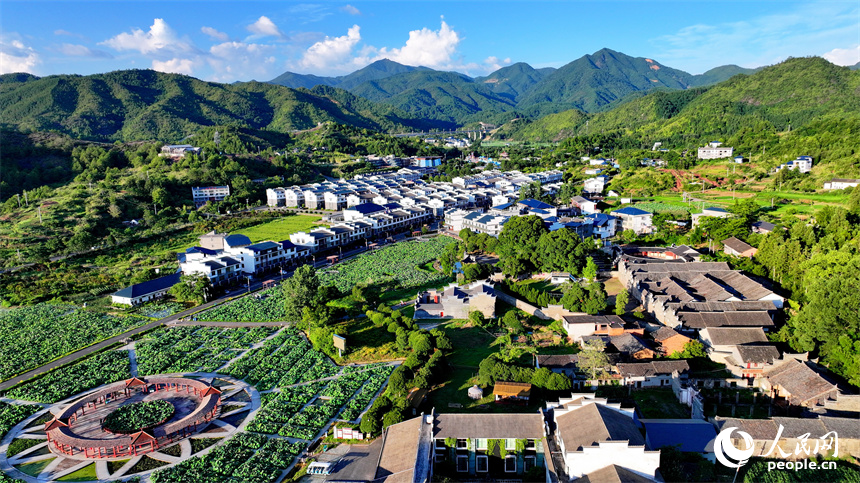 赣州市石城县琴江镇大畲村，错落分布的农房与莲田、山峦、旅游公路相映成景，构成一幅绿意盎然、和美宜居的山乡画卷。人民网 朱海鹏摄