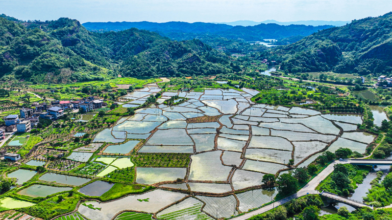 航拍南豐縣市山鎮前山村。李煜祖攝