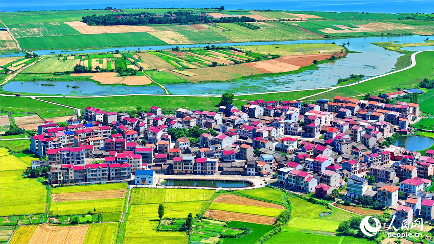 豐城市拖船鎮蛟湖村，錯落分布的房屋與河流、綠樹、農田相映成景。人民網 朱海鵬攝