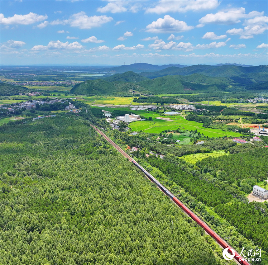 吉安市吉水縣醪橋鎮一帶，高標准農田裡種植的早稻由青轉黃，疾馳的列車與遠處鄉村房屋、青山綠樹相映成景。人民網 朱海鵬攝