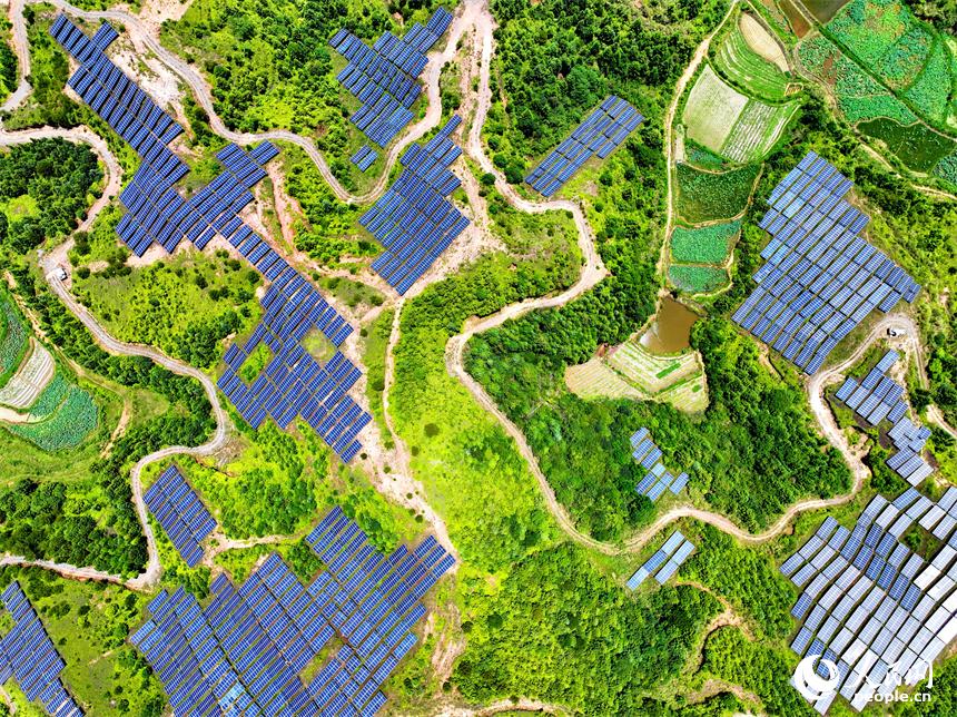 贛州市石城縣琴江鎮漢坑村的光伏發電項目基地，荒山坡上鱗次櫛比的光伏發電板蔚為壯觀。人民網 朱海鵬攝