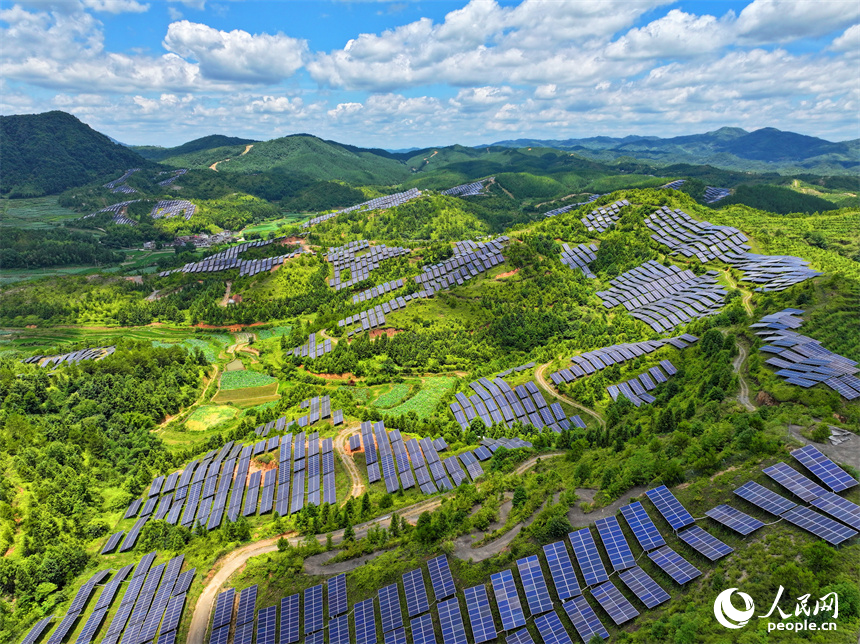 贛州市石城縣琴江鎮漢坑村的光伏發電項目基地，荒山坡上鱗次櫛比的光伏發電板蔚為壯觀。人民網 朱海鵬攝