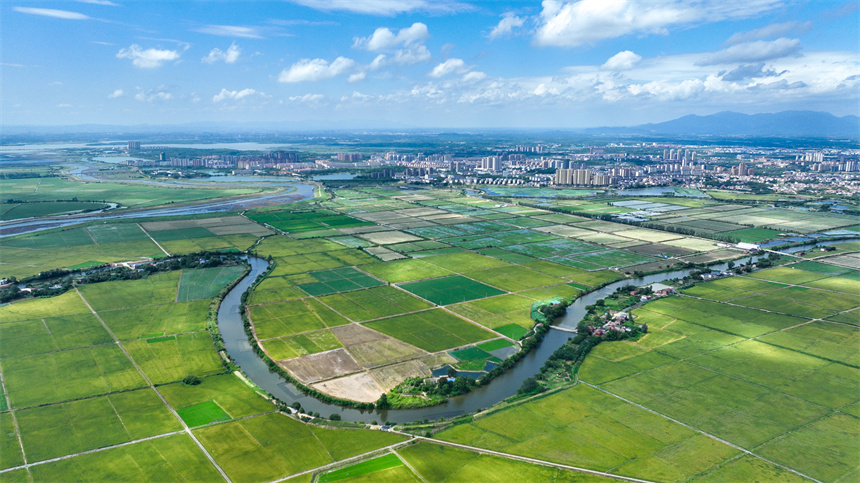 江西省共青城市金湖乡五合村美景如画。潘成摄