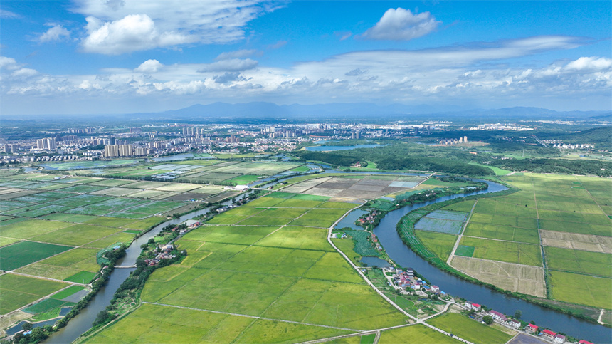 江西省共青城市金湖乡五合村美景如画。潘成摄