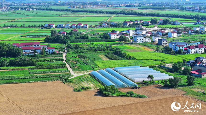 九江市永修縣涂埠鎮南洲村，合作社農機手在播種玉米。人民網 朱海鵬攝