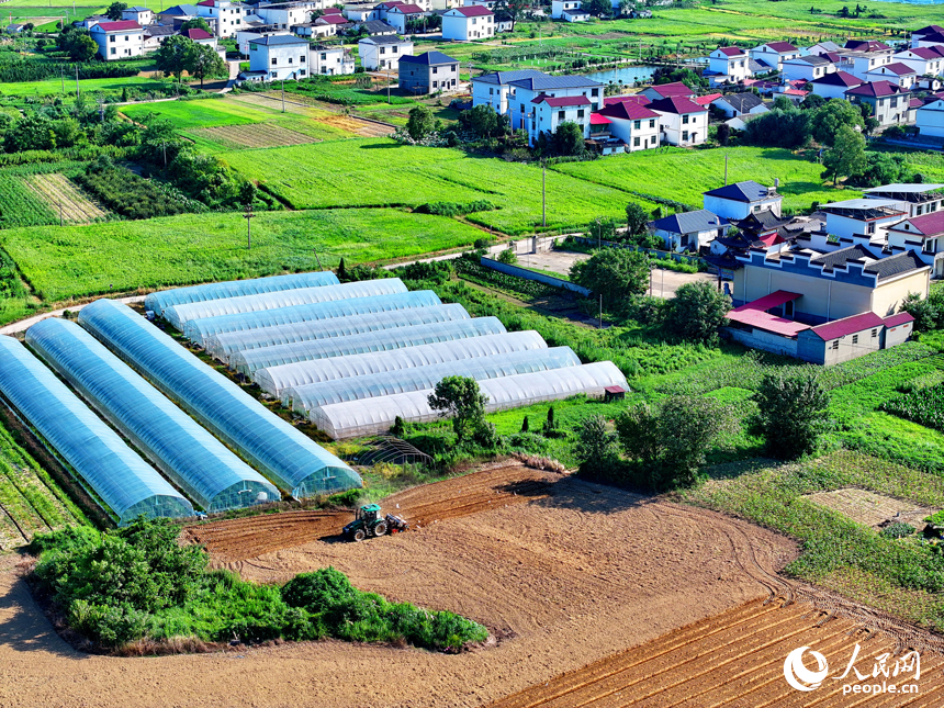 九江市永修縣涂埠鎮南洲村，合作社農機手在播種玉米。人民網 朱海鵬攝