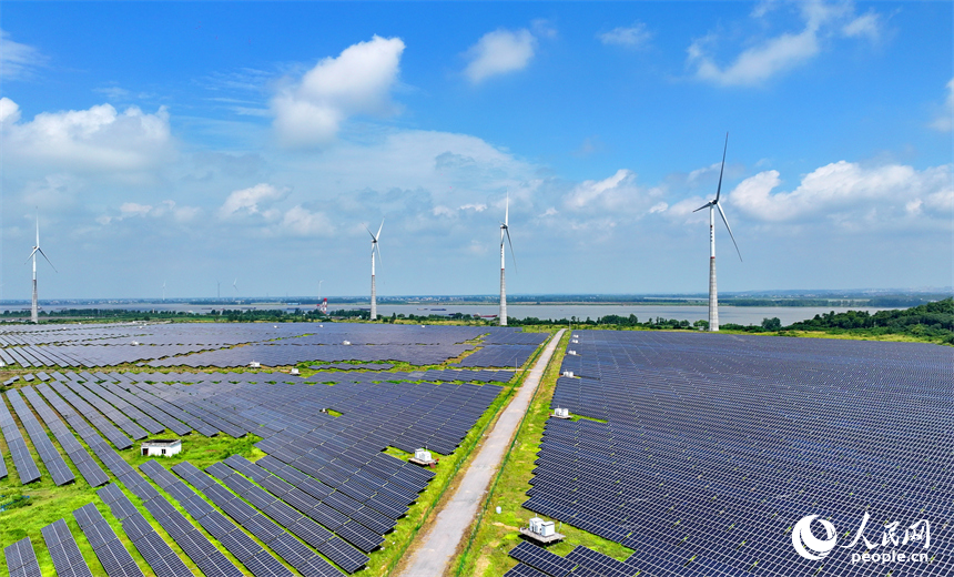 九江市彭澤縣帽子山風光電站，連片的光伏發電板與風力發電機組相得益彰，源源不斷地輸送清潔能源。人民網 朱海鵬攝