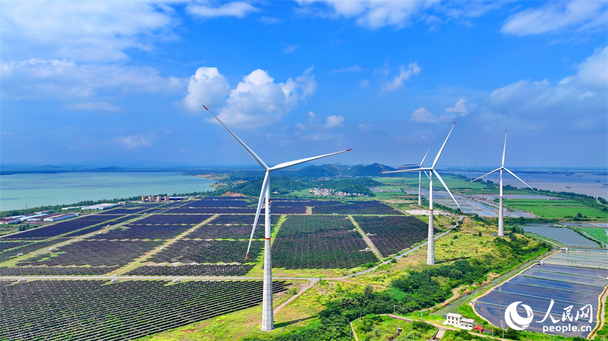 九江市彭澤縣帽子山風光電站，連片的光伏發電板與風力發電機組相得益彰，源源不斷地輸送清潔能源。人民網 朱海鵬攝