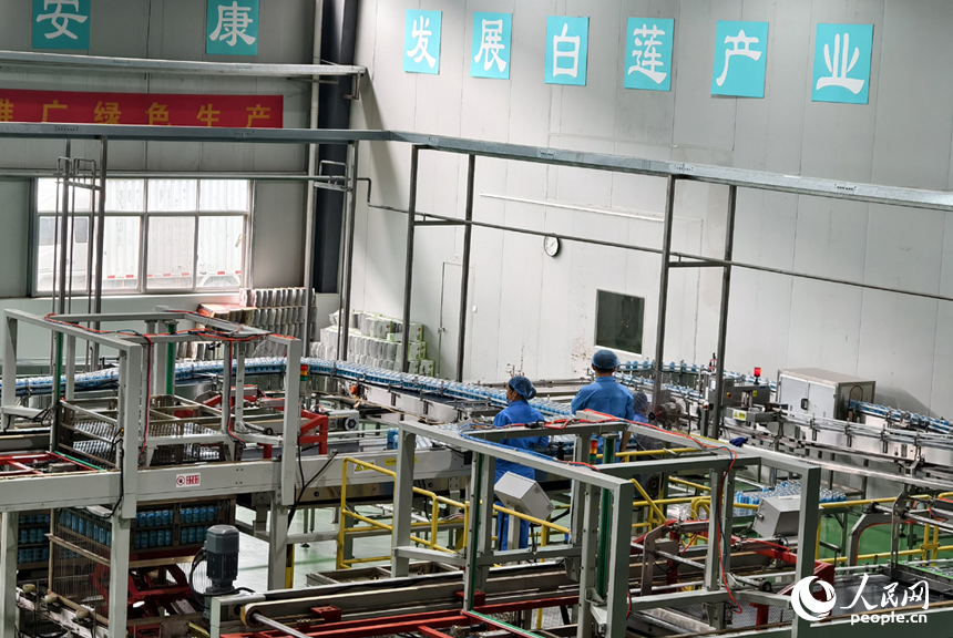 在广昌县一家白莲深加工企业内，工人们正在车间作业。人民网记者 时雨摄