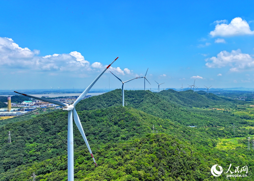 位於九江市彭澤縣的中廣核彭澤泉山風力發電項目風電場，風葉迎風旋轉，轉化成清潔電能輸入電網。人民網 朱海鵬攝