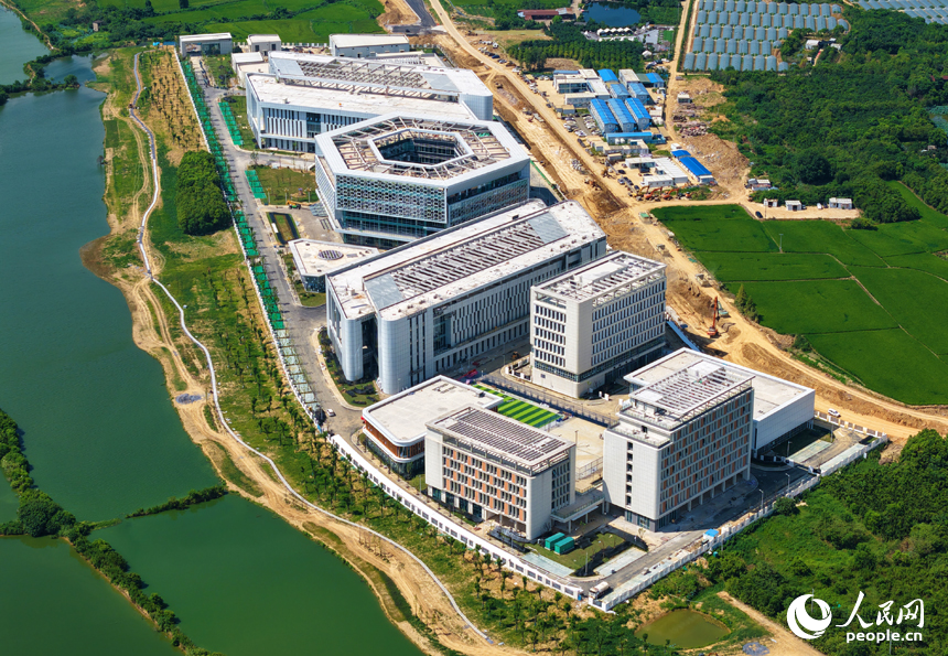 南昌瑤湖科學島一期項目——南昌實驗室建設現場，項目整體形象已初步顯現。人民網記者 毛思遠攝