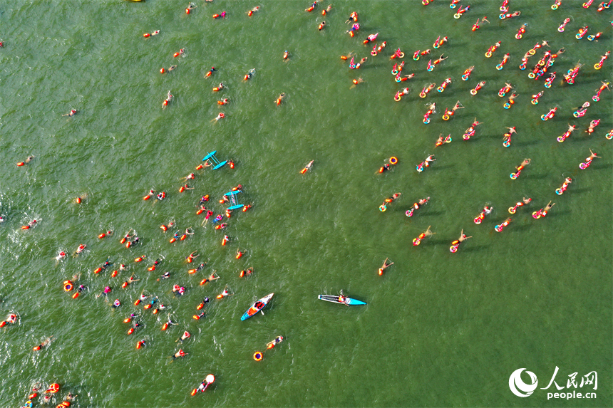 游泳爱好者在赣江中劈波斩浪，享受游泳运动的快乐。人民网记者 时雨摄