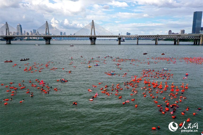 游泳爱好者奋力向终点游去。人民网记者 时雨摄