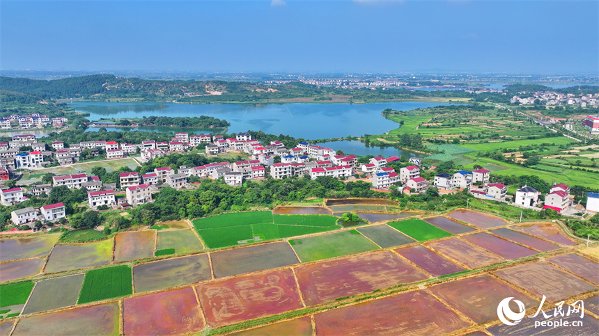 丰城市同田乡，丰厚一级公路穿村而过，公路沿线的农房、田园、河流、树木相互映衬，夏景如画。人民网 朱海鹏摄