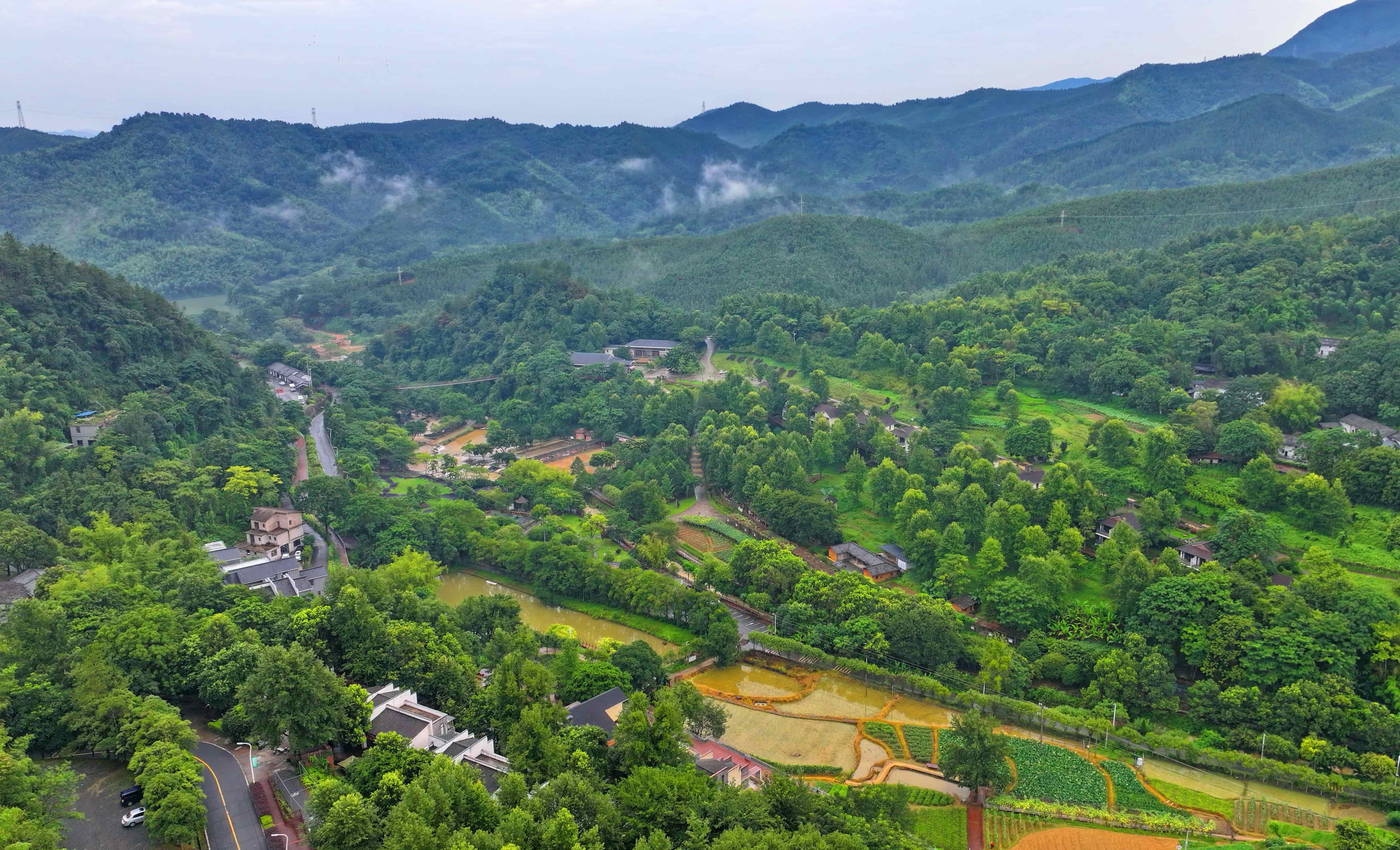 贛州市大余縣黃龍鎮大龍村丫山，通村公路沿線綠樹成蔭、民宿林立，許多游客驅車前來游玩。人民網 朱海鵬攝