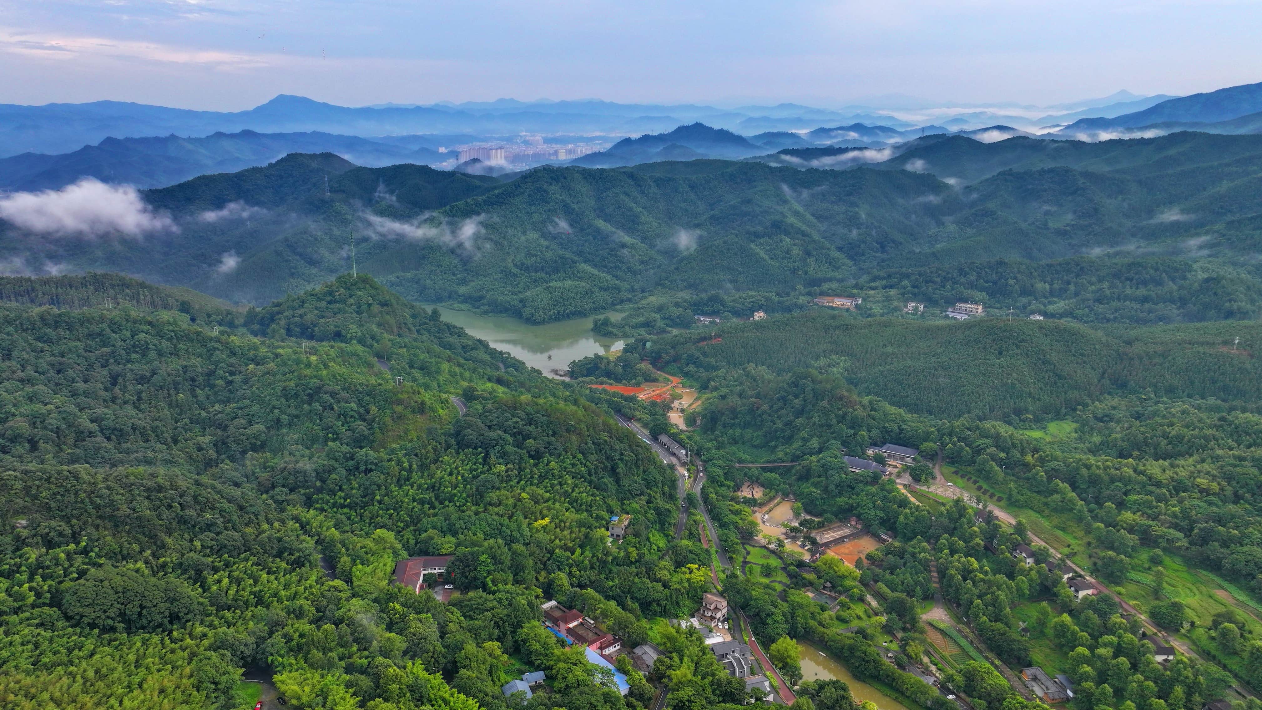 贛州市大余縣黃龍鎮大龍村丫山，通村公路沿線綠樹成蔭、民宿林立，許多游客驅車前來游玩。人民網 朱海鵬攝