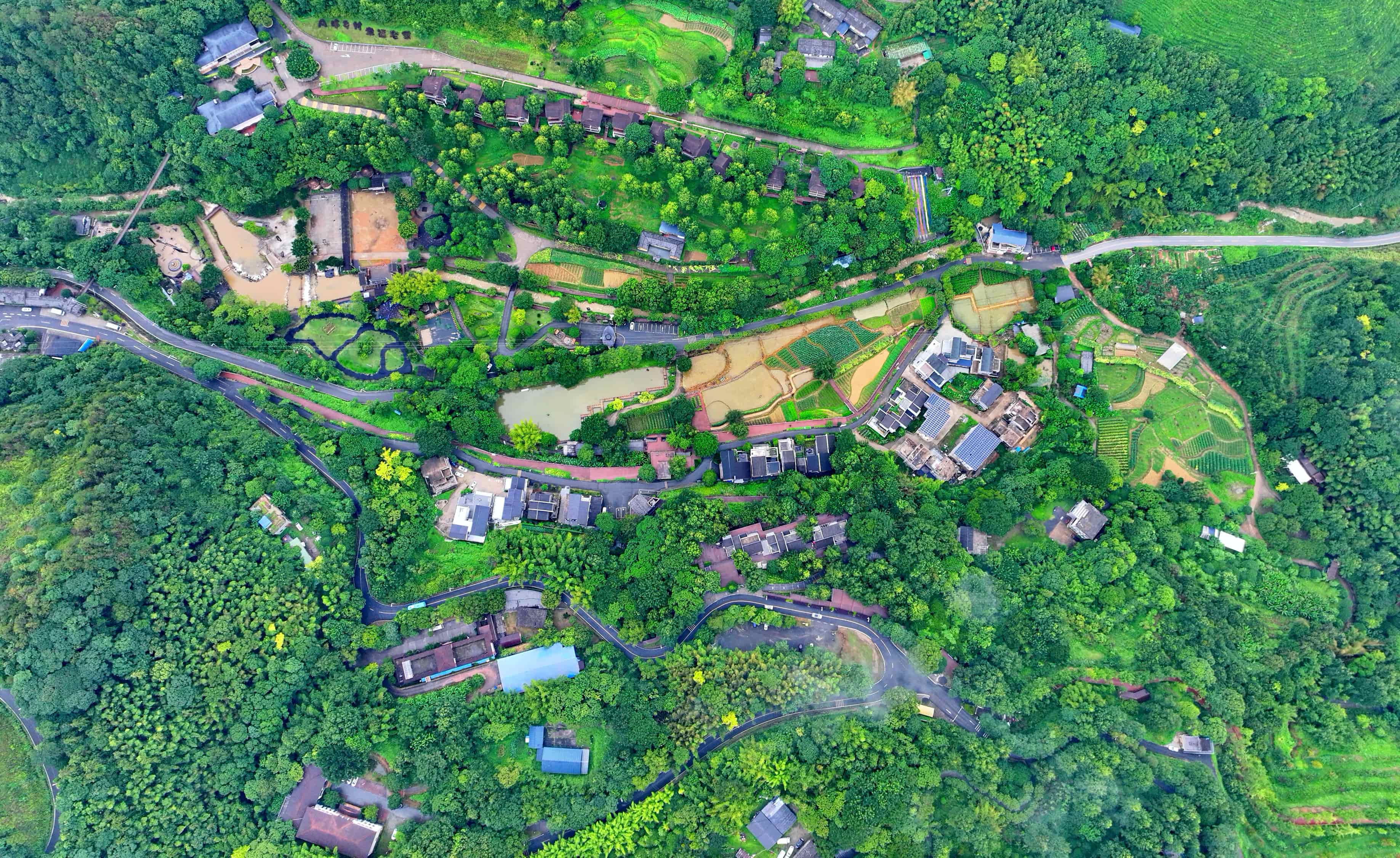 贛州市大余縣黃龍鎮大龍村丫山，通村公路沿線綠樹成蔭、民宿林立，許多游客驅車前來游玩。人民網 朱海鵬攝