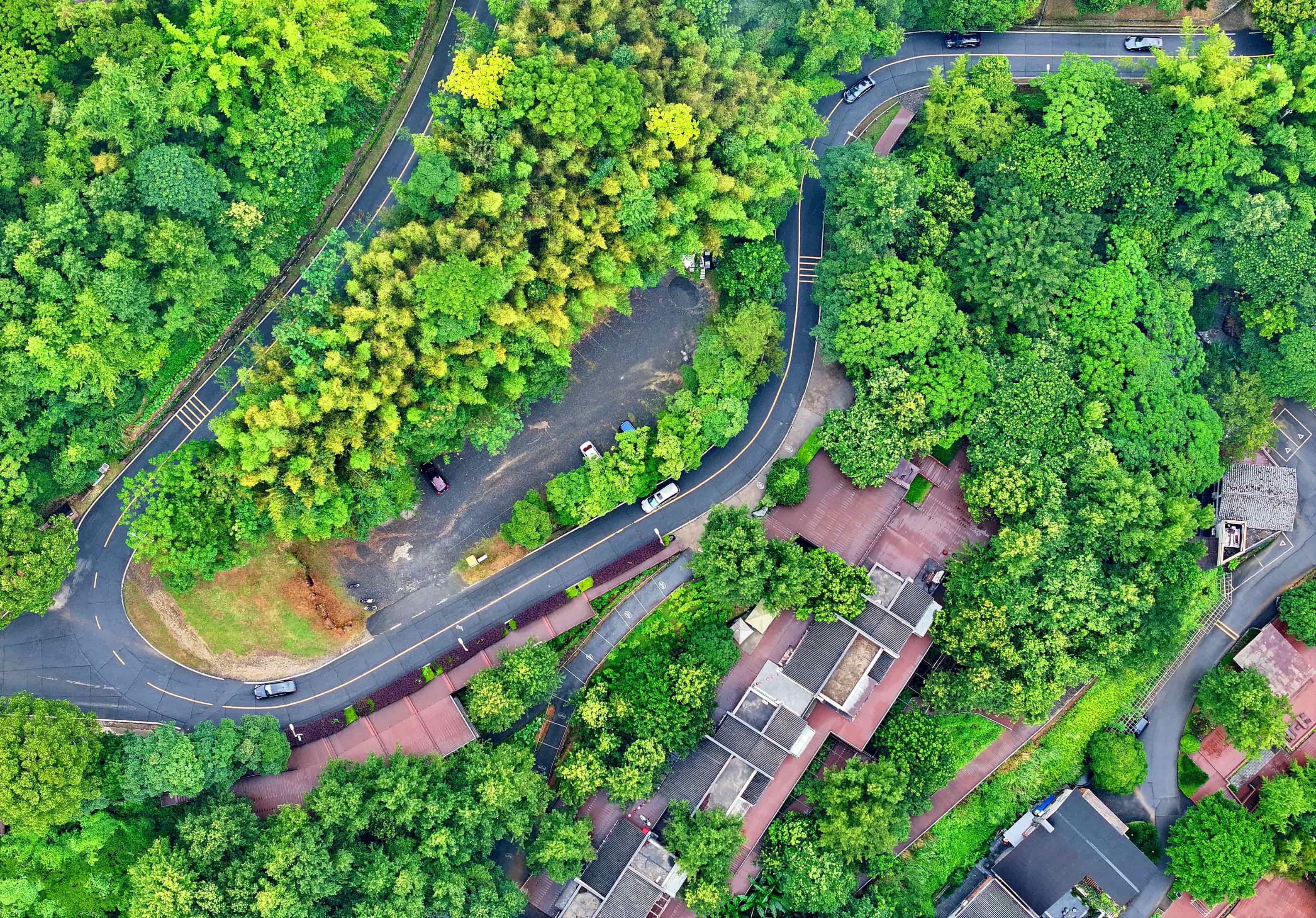 贛州市大余縣黃龍鎮大龍村丫山，通村公路沿線綠樹成蔭、民宿林立，許多游客驅車前來游玩。人民網 朱海鵬攝