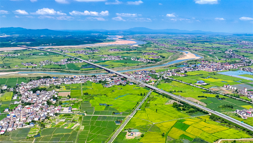 江西省抚州市临川区罗湖镇良溪村一带的田园景色。郭昊摄