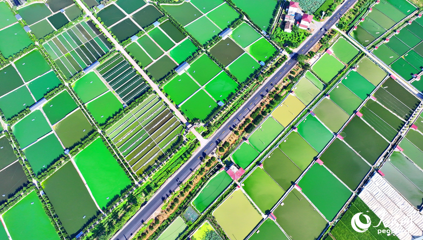 抚州市南丰县太和镇丹阳村，公路沿线的水产养殖塘星罗棋布、色彩斑斓，与周边农房、稻田、青山交相辉映。人民网 朱海鹏摄
