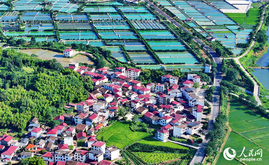 抚州市南丰县太和镇丹阳村，公路沿线的水产养殖塘星罗棋布、色彩斑斓，与周边农房、稻田、青山交相辉映。人民网 朱海鹏摄