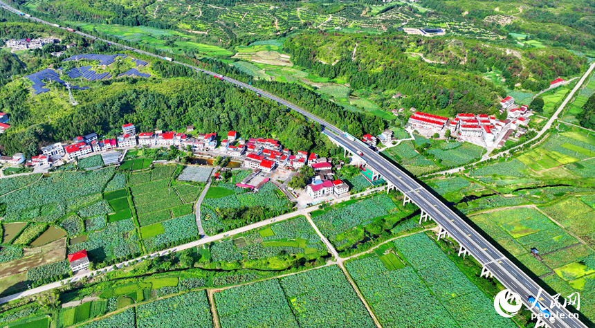 贛州市石城縣小鬆鎮許坊村，濟廣高速車輛穿行於層巒疊嶂的青山之間，初秋鄉村美景怡人。人民網 朱海鵬攝