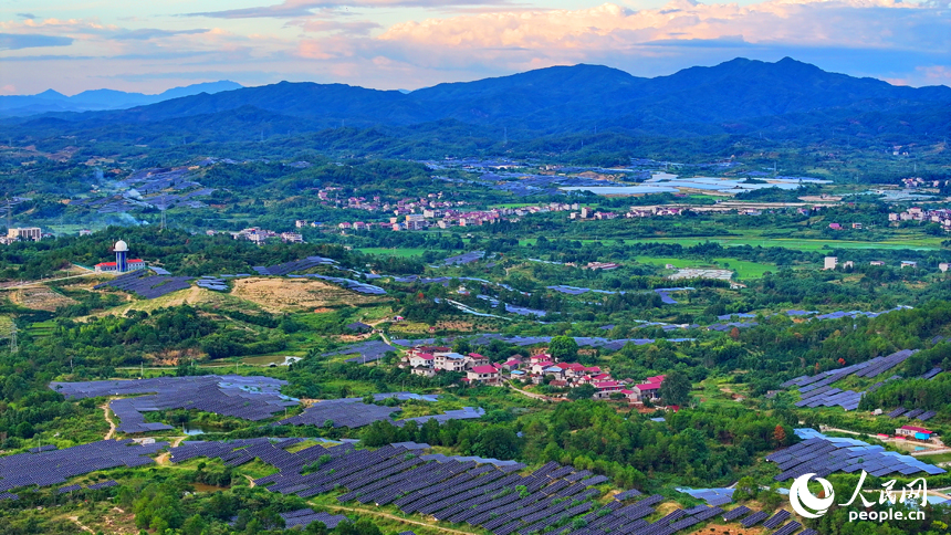 抚州市南丰县莱溪乡西山村“农光互补”光伏发电站，荒山坡上安装的光伏板熠熠生辉，与绿树青山相映相衬。人民网 朱海鹏摄