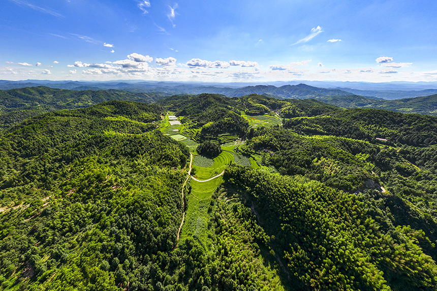 航拍镜头下的塘家山村，一派美丽的生态田园画卷。谢东摄