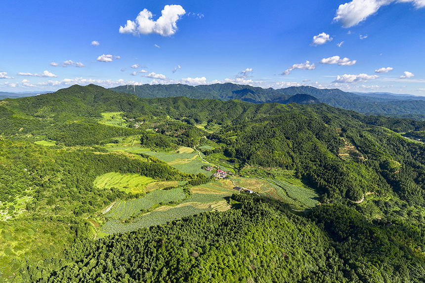 航拍镜头下的塘家山村，一派美丽的生态田园画卷。谢东摄