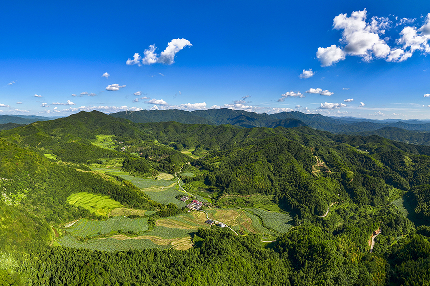 航拍镜头下的塘家山村，一派美丽的生态田园画卷。谢东摄