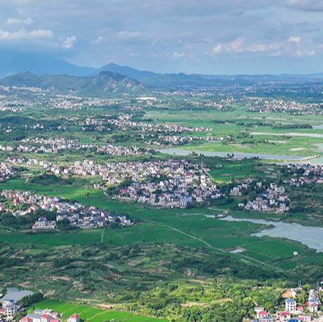 江西共青城：夏日乡村 绿意盎然
