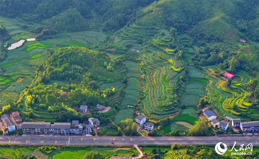 瑞金市日東鄉，蜿蜒向前的“四好農村路”與田野、山巒、碧水相映成景。人民網 朱海鵬攝