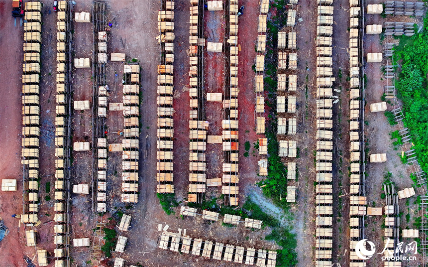 抚州市南丰县琴江镇的一处板材加工基地，村民利用晴好天气的有利时机在晾晒板材半成品。人民网 朱海鹏摄