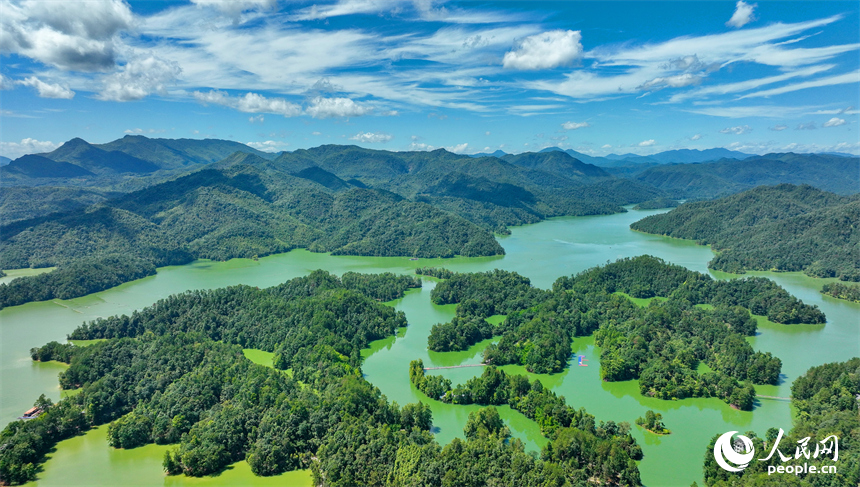 贛州市上猶縣陽明湖，山青水碧、樹木蔥蘢，與藍天白雲相映成畫。人民網 朱海鵬攝