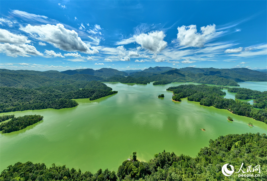 贛州市上猶縣陽明湖，山青水碧、樹木蔥蘢，與藍天白雲相映成畫。人民網 朱海鵬攝