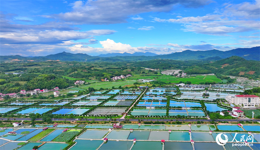 撫州市南豐縣太和鎮丹陽村，車輛行駛在通村公路上，沿線農房、魚塘、稻田、群山相映成畫。人民網 朱海鵬攝