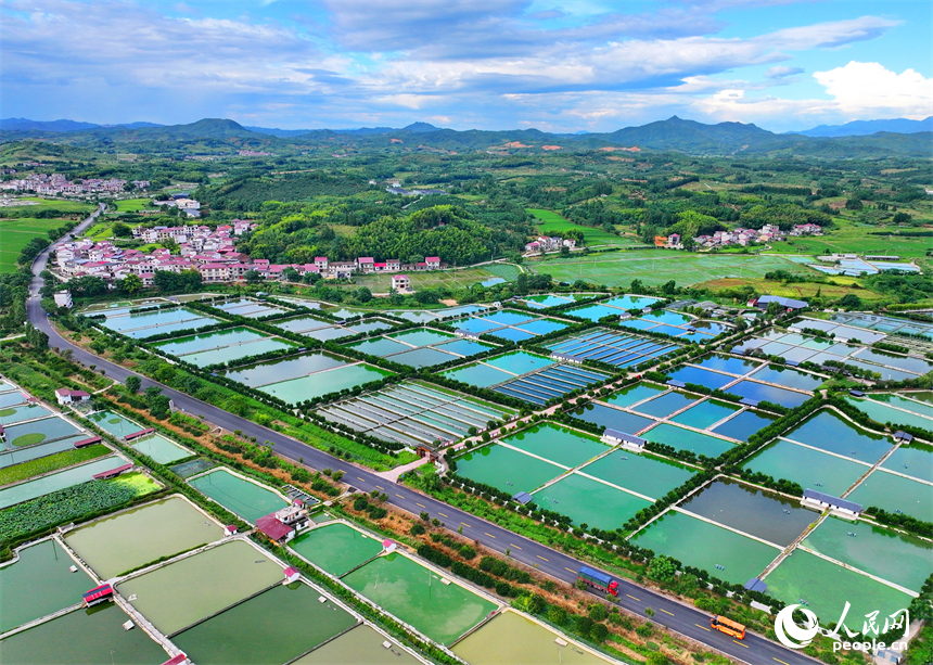 撫州市南豐縣太和鎮丹陽村，車輛行駛在通村公路上，沿線農房、魚塘、稻田、群山相映成畫。人民網 朱海鵬攝