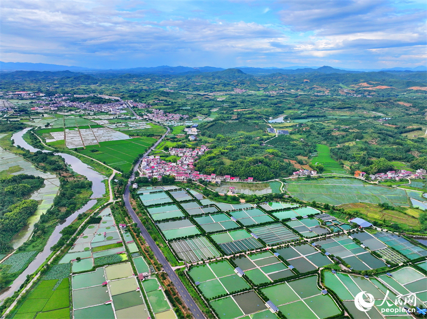 撫州市南豐縣太和鎮丹陽村，車輛行駛在通村公路上，沿線農房、魚塘、稻田、群山相映成畫。人民網 朱海鵬攝