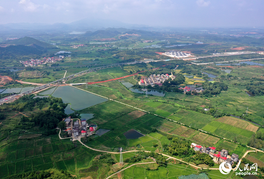 航拍鏡頭下，初秋時節的上高縣蘆洲鄉上新村宛如一幅精心繪制的田園畫卷。 人民網記者 時雨攝